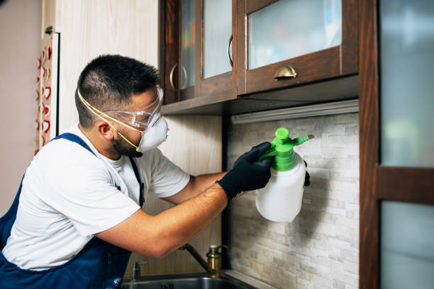 Best Pest Prevention Services  in Roselle Park, NJ