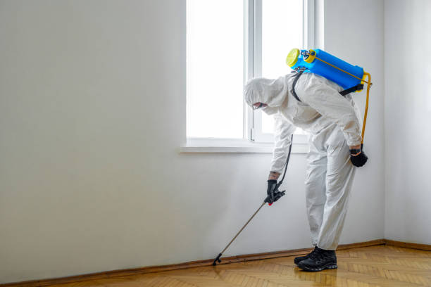 Best Pest Removal Services  in Roselle Park, NJ