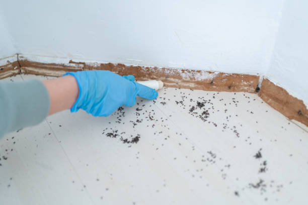 Best Pest Removal Services  in Roselle Park, NJ